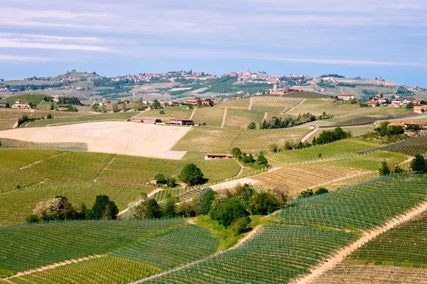 Langhe szőlőültetvények táj. Szőlészet Barolo, Piemont, Olaszország, UNESCO Világörökség. Barolo bor, Dolcetto, Nebbiolo, Barbaresco vörösbor. — Stock Fotó