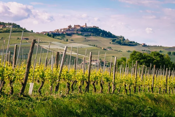 Vinhedo com a aldeia de La Morra no topo da colina. Vista de Barolo caminho para Monforte — Fotografia de Stock