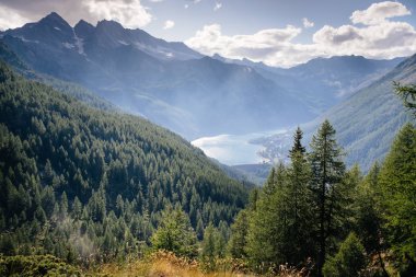 Köknar ve karaçam kozalaklı dağ manzarası, arka planda dağ sırası. Ceresole Reale gölüne bak. İtalyan Alpleri, Gran paradiso Ulusal Parkı, Piedmont, İtalya