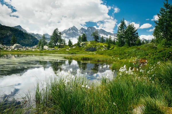 Dağ gölü manzara ve su yansımaları ile etrafında yeşil ağaçlar. Özgürlük duygusu. Gran Paradiso Ulusal Parkı, Bellagarda gölü, Ceresole Reale, Piedmont, İtalya