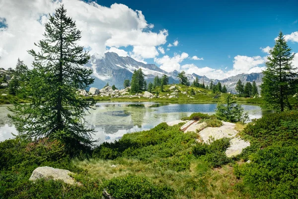 Bergmeer Landschap Groene Bomen Rond Gevoel Van Vrijheid Gran Paradiso — Stockfoto