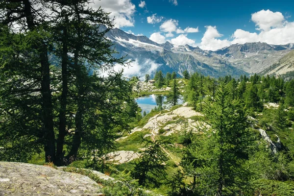 Bir göl ve çevresinde yeşil ağaçlar ile dağ manzara. Özgürlük duygusu. Gran Paradiso Ulusal Parkı, Bellagarda gölü, Ceresole Reale, Piedmont, İtalya