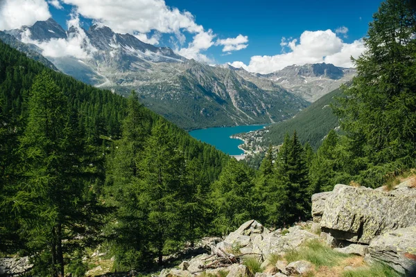 Paesaggio Montano Con Conifera Abeti Larici Catena Montuosa Sullo Sfondo — Foto Stock