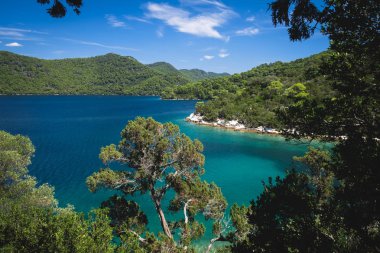 Mljet Ulusal Parkı. Ada'nın tepesinden büyük göle bak. Açık hava, seyahat yeri. Mljet adası, Dalmaçya, Hırvatistan.