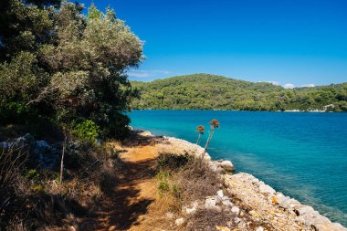 Mljet milli parkı küçük göl, seyahat hedef, doğal bir cennet açık gezi. Mljet adası, Dalmaçya, Hırvatistan.