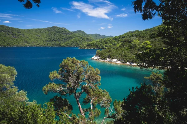 Mljet Ulusal Parkı. Ada'nın tepesinden büyük göle bak. Açık hava, seyahat yeri. Mljet adası, Dalmaçya, Hırvatistan.
