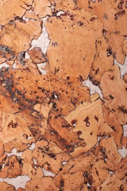 Mantar tahta yüzeyinin yakın plan ve dokusu