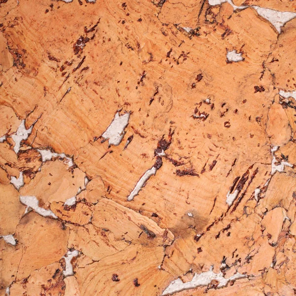 Mantar tahta yüzeyinin yakın plan ve dokusu