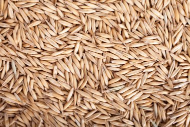 Yulaf tohumu arka plan dokusu, üst görünüm