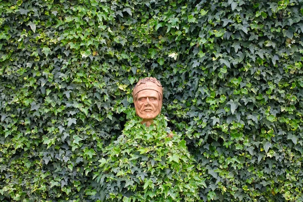 Old Statue Covered Ivy — Stock Photo, Image