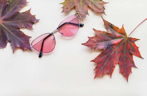 Jesienna Koncepcja Mody Różowych Okularów Przeciwsłonecznych Liści Klonu Jasnym Beżowym — Zdjęcie stockowe