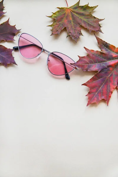 Осіння Модна Композиція Рожеві Сонцезахисні Окуляри Кленове Листя Світло Бежевому — стокове фото