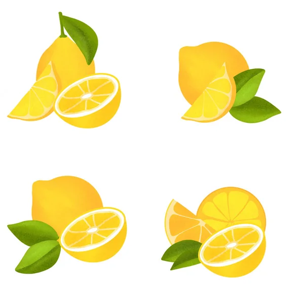 Juicy Lemon Slice Leaves Fresh Citrus Fruits Whole Halves Isolated — Stock Photo, Image