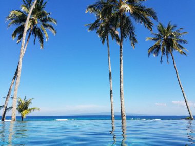 Bir tatil Bali, Endonezya Candidasa plajda Hint Okyanusu'na bakan bir sonsuzluk havuzunda yansıyan palmiye ağaçları