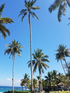 Bir tatil Bali, Endonezya Candidasa plajda Hint Okyanusu'na bakan palmiye ağaçları