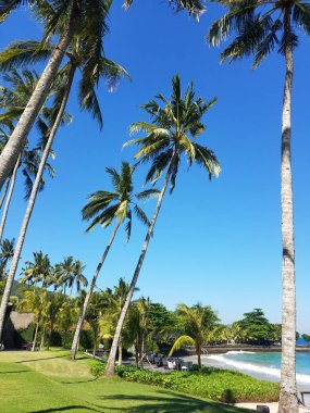 Bir tatil Bali, Endonezya Candidasa plajda Hint Okyanusu'na bakan palmiye ağaçları