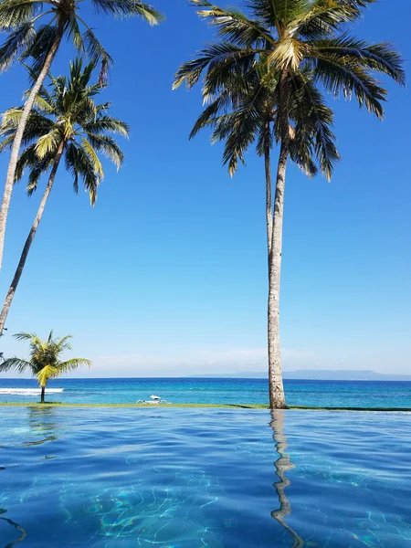 Bir tatil Bali, Endonezya Candidasa plajda Hint Okyanusu'na bakan bir sonsuzluk havuzunda yansıyan palmiye ağaçları