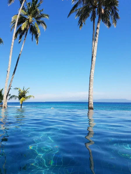 Bir tatil Bali, Endonezya Candidasa plajda Hint Okyanusu'na bakan bir sonsuzluk havuzunda yansıyan palmiye ağaçları
