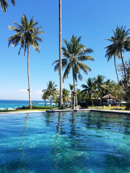 Sonsuzluk havuzu ve palmiye ağaçlarıyla, Bali, Endonezya resort seyahat arka plan için kopya alanı ile Hint Okyanusu.