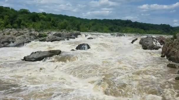 Die Potomac Stromschnellen Angeschwollen Durch Schwere Regenfälle Den Großen Wasserfällen — Stockvideo
