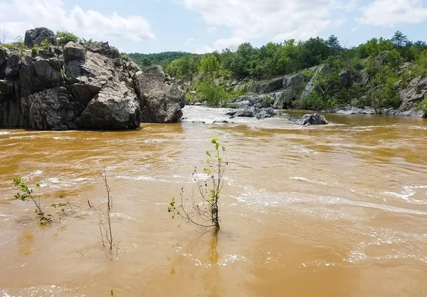 Rio Potomac Com Águas Lamacentas Inchadas Por Fortes Chuvas Nas — Fotografia de Stock