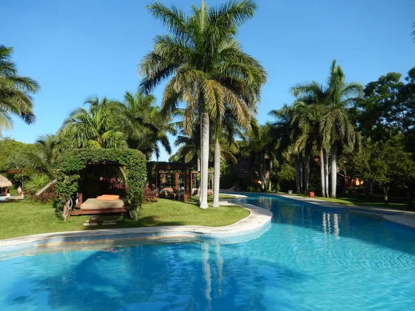 Tropical Landscape Greenery Palm Trees Pool Amenities Caribbean Resort Riviera — Stock Photo, Image