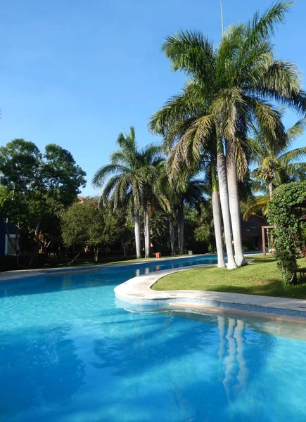 Tropik Yeşillikler Ile Palm Ağaçlar Havuzu Kolaylıklar Bir Karayipler Çare — Stok fotoğraf