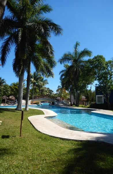 Tropische Landschap Groen Met Palm Bomen Zwembad Faciliteiten Een Caribisch — Stockfoto