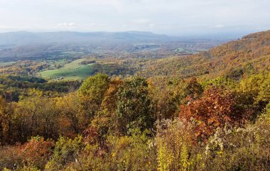 Parlak sonbahar renkleri ormanlarda kapsadığı Shenandoah Vadisi Dağları'nın havadan görünümü