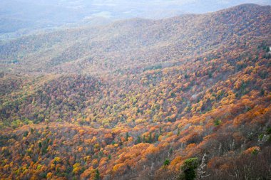 Parlak sonbahar renkleri ormanlarda kapsadığı Shenandoah Vadisi Dağları'nın havadan görünümü