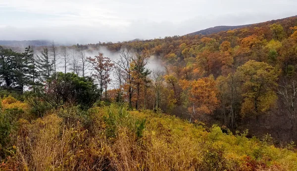 在明亮的秋天颜色被森林覆盖的雪兰山谷山脉的鸟瞰图 — 图库照片