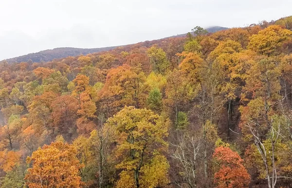 Légi Felvétel Fényes Őszi Színek Borított Shenandoah Valley Hegység — Stock Fotó