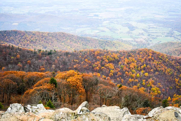 Vista Aérea Das Montanhas Vale Shenandoah Cobertas Por Florestas Cores — Fotografia de Stock