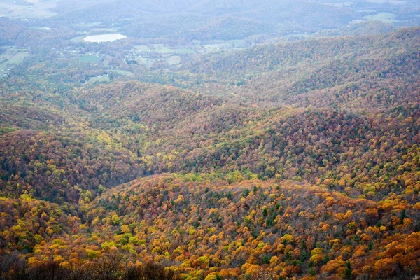 在明亮的秋天颜色被森林覆盖的雪兰山谷山脉的鸟瞰图 — 图库照片