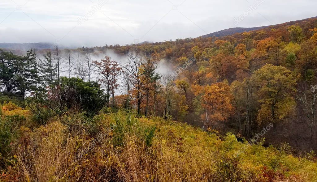 Aerial view of the Shenandoah Valley mountains covered by forests in bright autumn colors