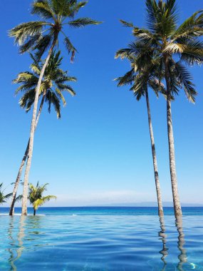 Bir tatil Bali, Endonezya Candidasa plajda Hint Okyanusu'na bakan bir sonsuzluk havuzunda yansıyan palmiye ağaçları
