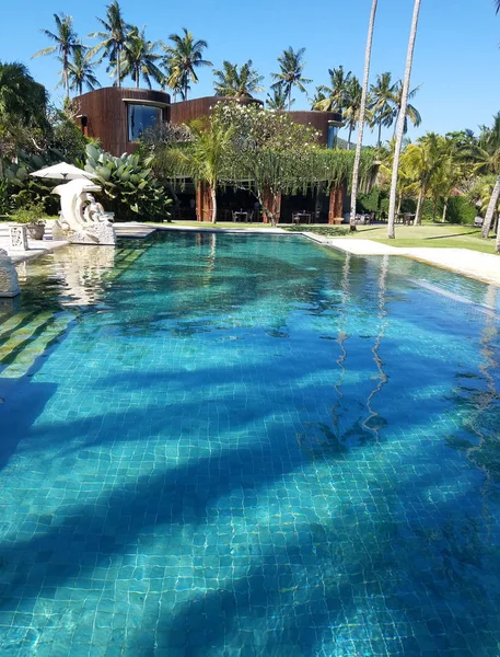 Infinity Zwembad Palm Bomen Aan Indische Oceaan Een Bali Indonesië — Stockfoto