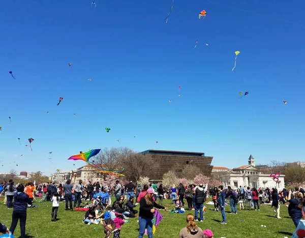 大人と子供の大群衆が 桜祭りの時にワシントン記念塔の近くに ナショナル モールに凧祭で凧を飛ばすワシントン 2018 — ストック写真