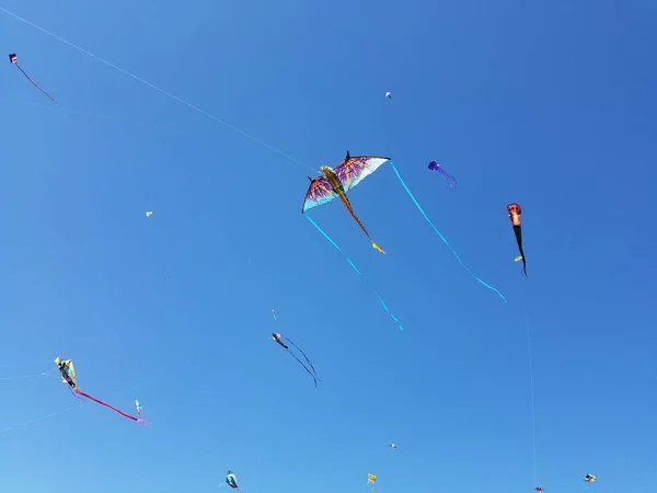 Cometas Volando Contra Cielo Azul National Mall Washington Durante Festival — Foto de Stock