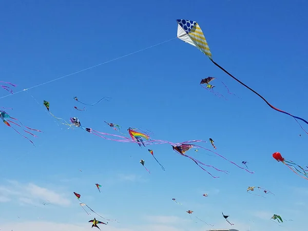 Cometas Volando Contra Cielo Azul National Mall Washington Durante Festival — Foto de Stock