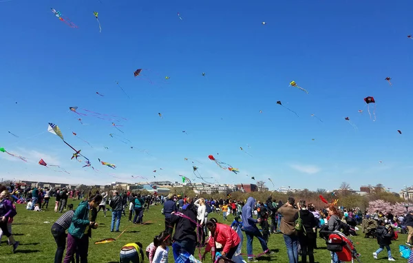 Washington Marzo 2018 Una Gran Multitud Adultos Niños Vuelan Cometas — Foto de Stock