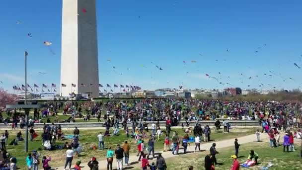 Washington Marzo 2018 Una Gran Multitud Adultos Niños Vuelan Cometas — Vídeo de stock