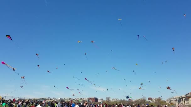 Washington March 2018 Large Crowd Adults Children Fly Kites Kite — Stock Video