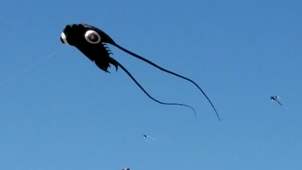 Una Cometa Divertida Forma Calamar Festival Cometas National Mall Volando — Vídeo de stock