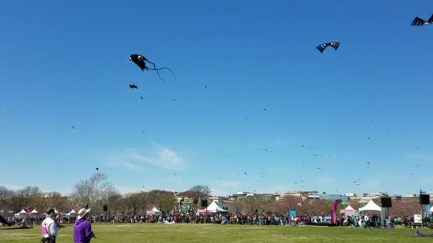 大人と子供の大群衆が 桜祭りの時にワシントン記念塔の近くに ナショナル モールに凧祭で凧を飛ばすワシントン 2018 — ストック動画