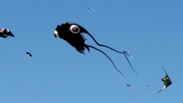 桜祭り中にワシントン記念塔の近くに飛んで ナショナル モールに凧祭りで面白い イカの形をした凧 — ストック動画