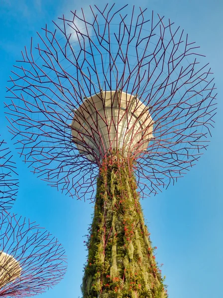 SINGAPUR - 7 de mayo de 2017: Súper árbol en los jardines por la Bahía pa —  Fotos de Stock