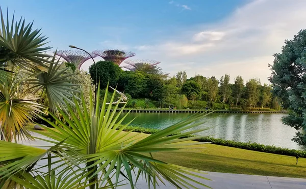 Jardines junto al parque de la Bahía en Singapur . — Foto de Stock