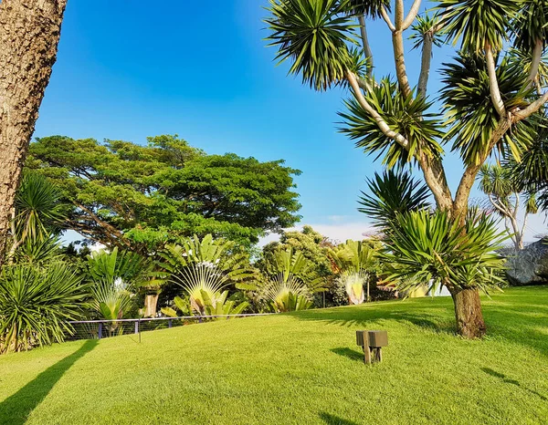 Jardines junto al parque de la Bahía en Singapur . — Foto de Stock