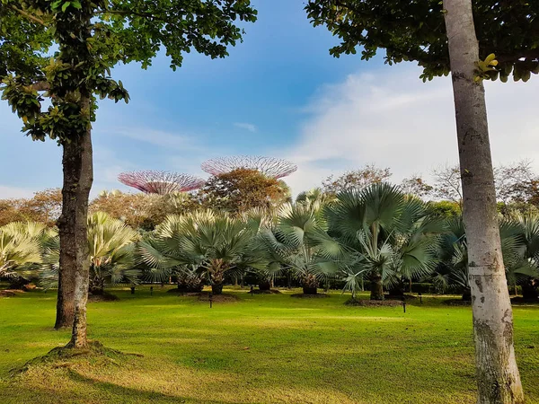 Jardines junto al parque de la Bahía en Singapur . — Foto de Stock